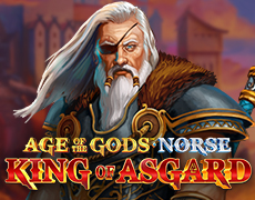 Age of the Gods Norse: King of Asgard